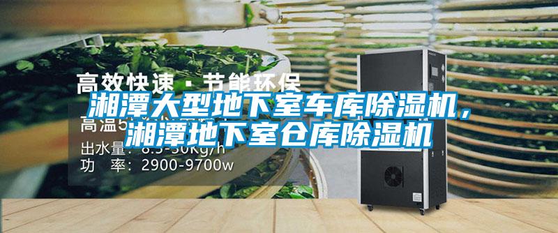 湘潭大型地下室車庫除濕機，湘潭地下室倉庫除濕機