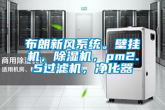 布朗新風系統。壁掛機，除濕機，pm2.5過濾機，凈化器
