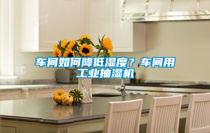 車間如何降低濕度？車間用工業抽濕機