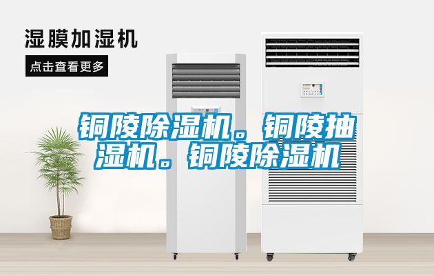銅陵除濕機。銅陵抽濕機。銅陵除濕機