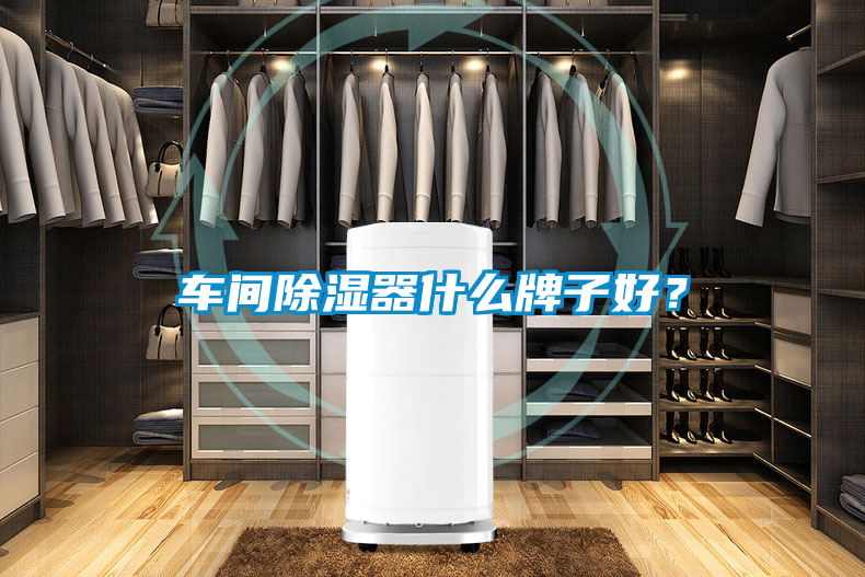 車間除濕器什么牌子好？