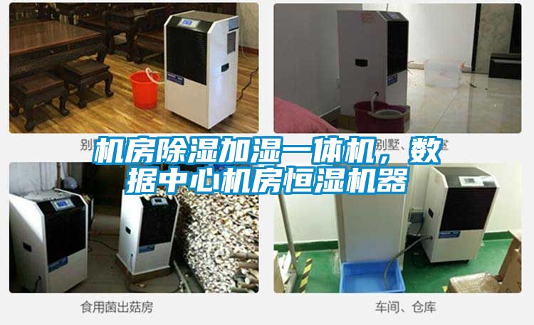 機房除濕加濕一體機，數據中心機房恒濕機器