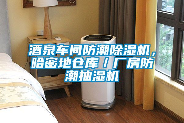 酒泉車間防潮除濕機，哈密地倉庫／廠房防潮抽濕機