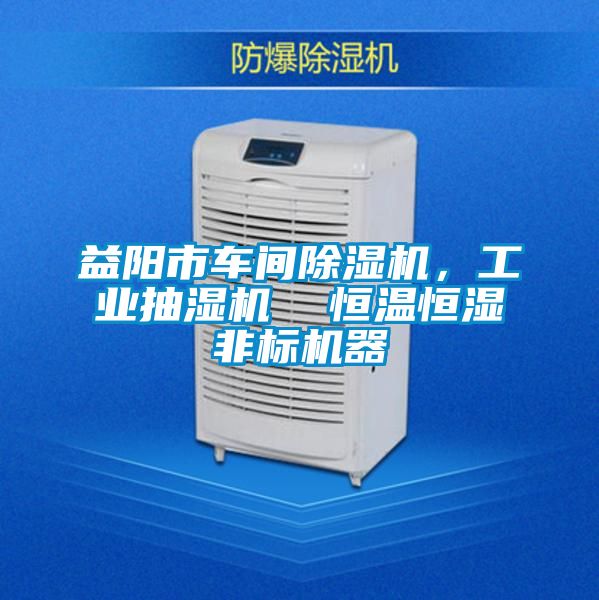 益陽市車間除濕機，工業抽濕機  恒溫恒濕非標機器