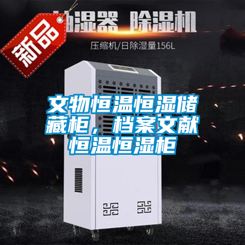 文物恒溫恒濕儲藏柜，檔案文獻恒溫恒濕柜