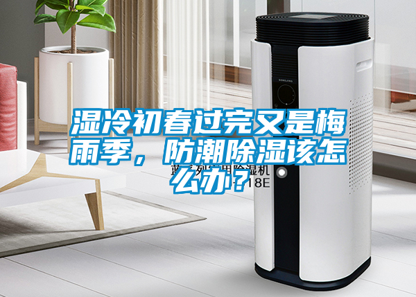 濕冷初春過完又是梅雨季，防潮除濕該怎么辦？