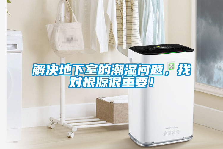 解決地下室的潮濕問題，找對根源很重要！