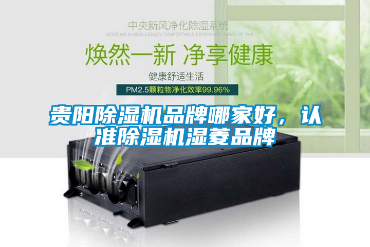 貴陽除濕機品牌哪家好，認準除濕機濕菱品牌