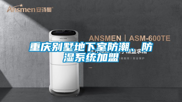 重慶別墅地下室防潮、防濕系統加盟