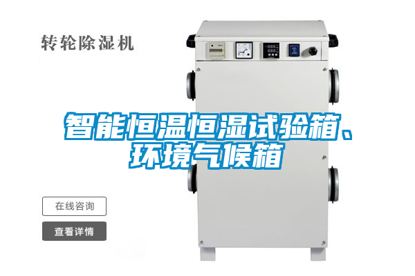 智能恒溫恒濕試驗箱、環境氣候箱