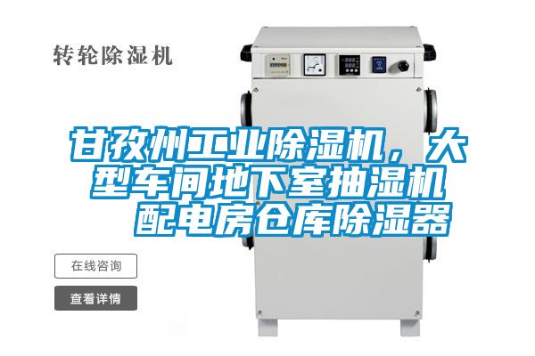 甘孜州工業除濕機，大型車間地下室抽濕機  配電房倉庫除濕器