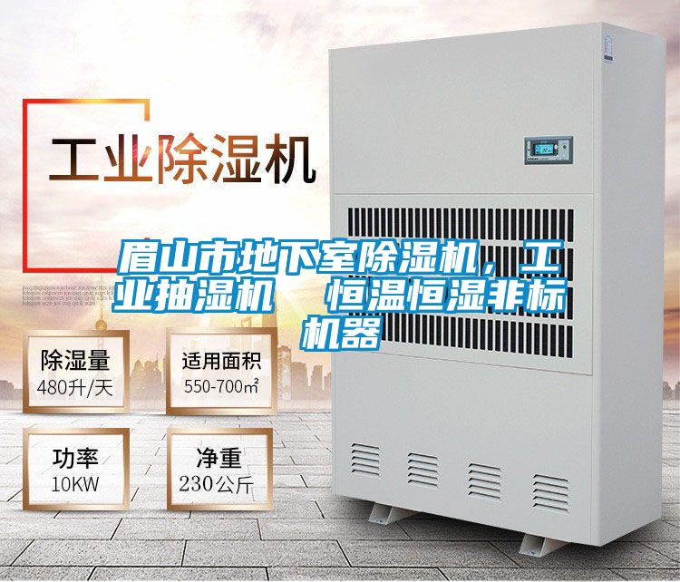 眉山市地下室除濕機，工業抽濕機  恒溫恒濕非標機器