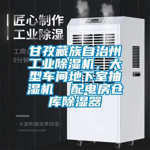 甘孜藏族自治州工業除濕機，大型車間地下室抽濕機  配電房倉庫除濕器