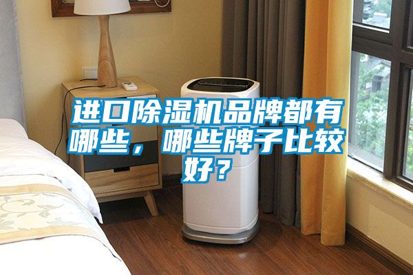 進口除濕機品牌都有哪些，哪些牌子比較好？