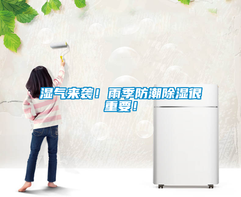 濕氣來襲！雨季防潮除濕很重要！