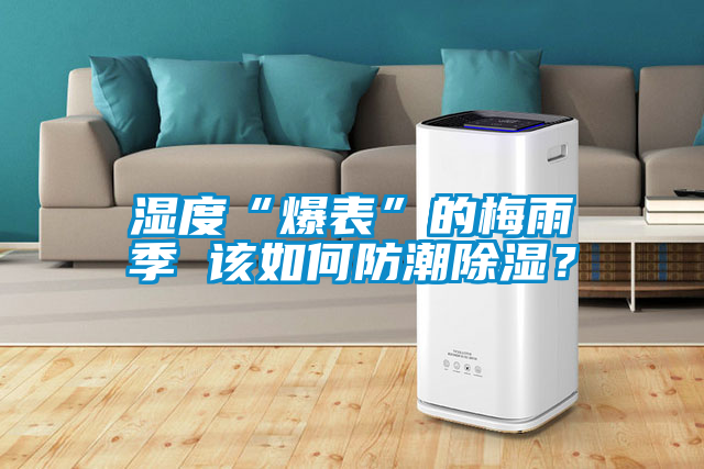 濕度“爆表”的梅雨季 該如何防潮除濕？