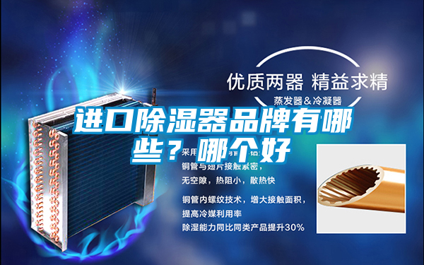 進口除濕器品牌有哪些？哪個好