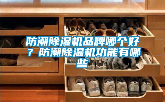 防潮除濕機品牌哪個好？防潮除濕機功能有哪些
