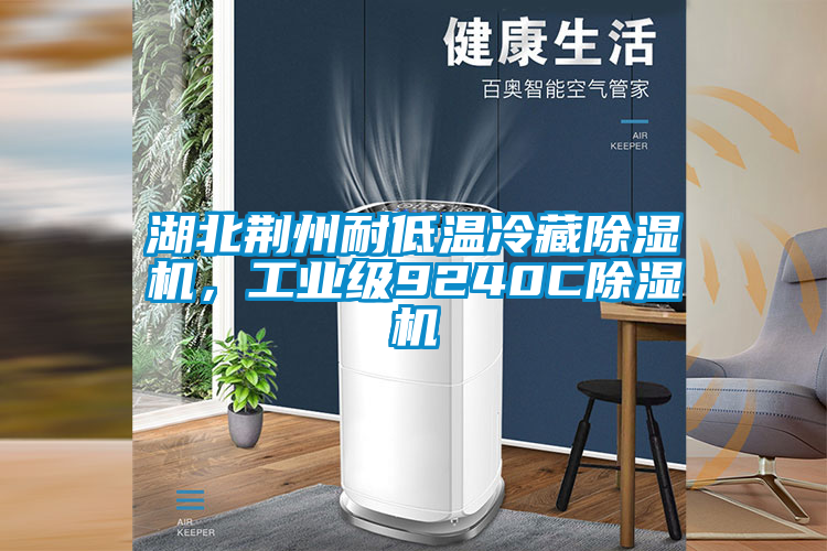 湖北荊州耐低溫冷藏除濕機，工業級9240C除濕機