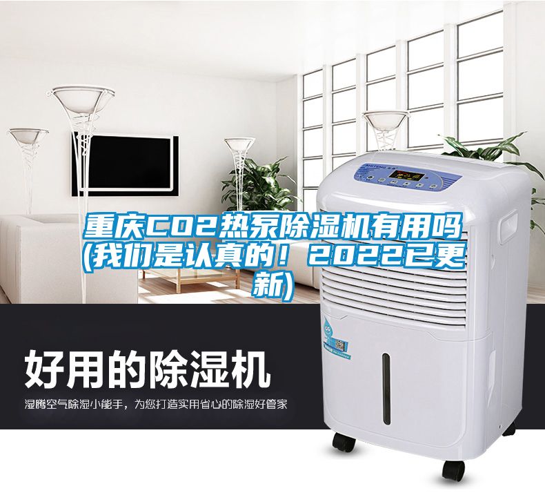 重慶CO2熱泵除濕機有用嗎(我們是認真的！2022已更新)