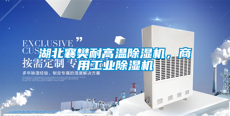 湖北襄樊耐高溫除濕機，商用工業除濕機