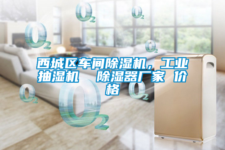 西城區車間除濕機，工業抽濕機  除濕器廠家 價格