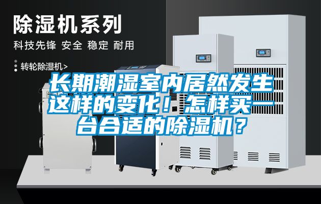 長期潮濕室內居然發生這樣的變化！怎樣買一臺合適的除濕機？