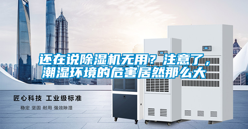 還在說除濕機無用？注意了，潮濕環境的危害居然那么大