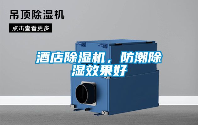 酒店除濕機，防潮除濕效果好