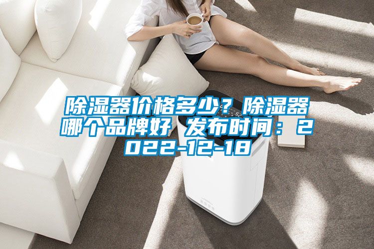 除濕器價格多少？除濕器哪個品牌好 發布時間：2022-12-18