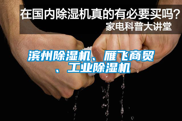 濱州除濕機、雁飛商貿、工業除濕機