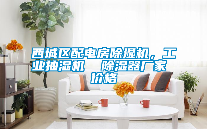西城區配電房除濕機，工業抽濕機  除濕器廠家 價格