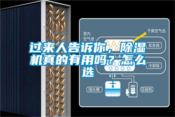 過來人告訴你，除濕機真的有用嗎？怎么選