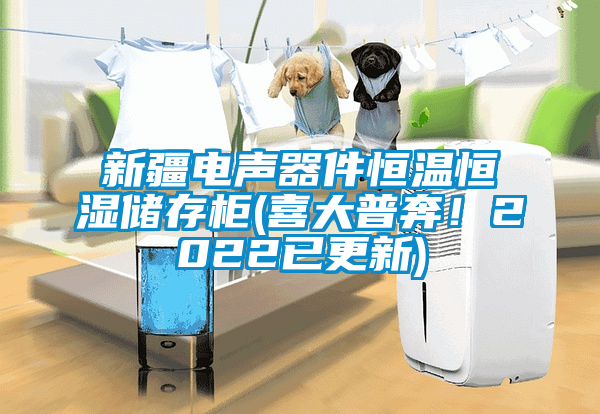 新疆電聲器件恒溫恒濕儲存柜(喜大普奔！2022已更新)