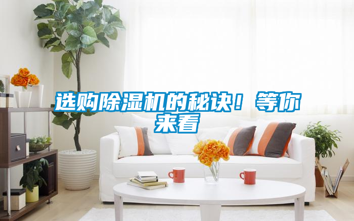 選購除濕機的秘訣！等你來看
