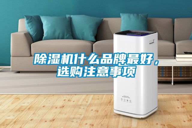 除濕機什么品牌最好，選購注意事項