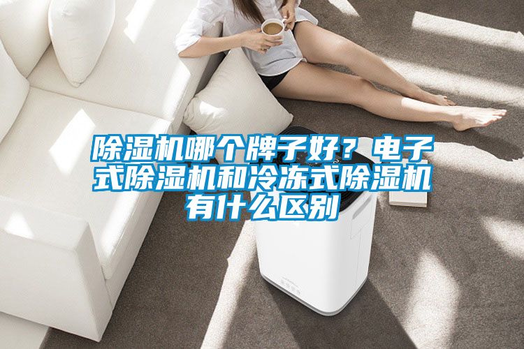 除濕機哪個牌子好？電子式除濕機和冷凍式除濕機有什么區別