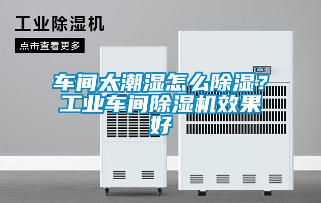 車間太潮濕怎么除濕？工業車間除濕機效果好