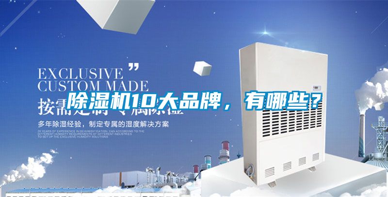 除濕機10大品牌，有哪些？