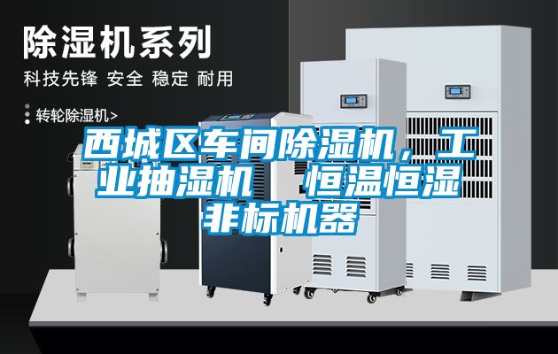 西城區車間除濕機，工業抽濕機  恒溫恒濕非標機器