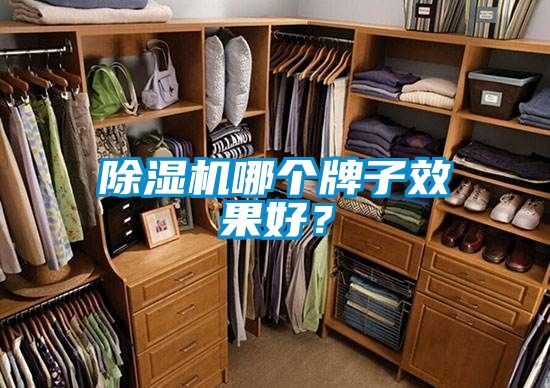 除濕機哪個牌子效果好？