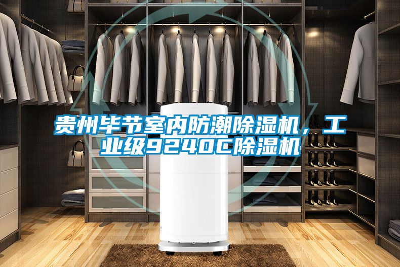 貴州畢節室內防潮除濕機，工業級9240C除濕機