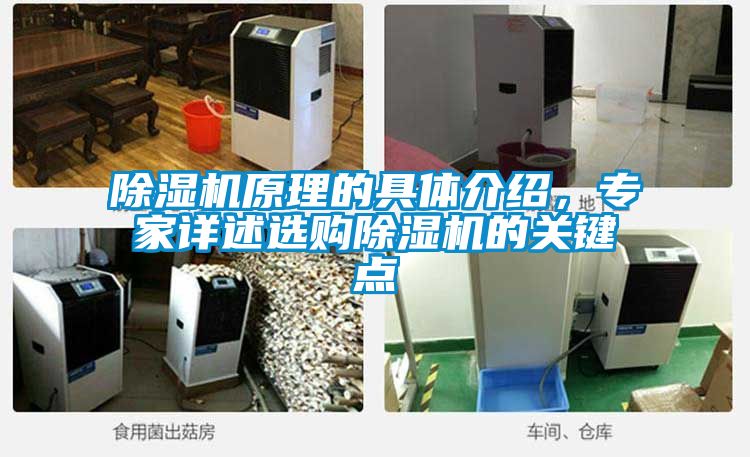 除濕機原理的具體介紹，專家詳述選購除濕機的關鍵點