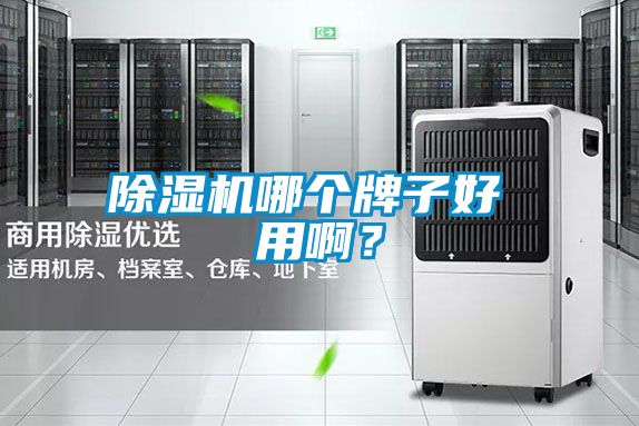 除濕機哪個牌子好 用??？