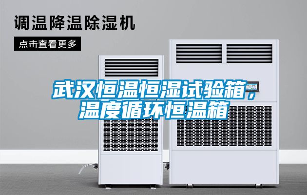 武漢恒溫恒濕試驗箱，溫度循環恒溫箱