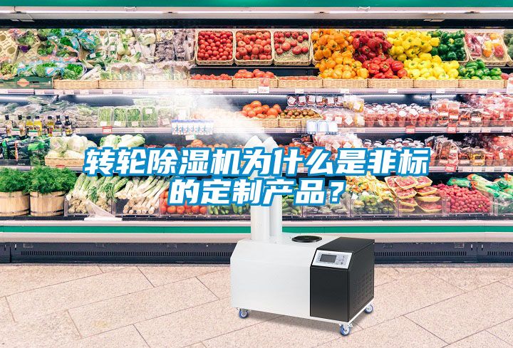 轉輪除濕機為什么是非標的定制產品？
