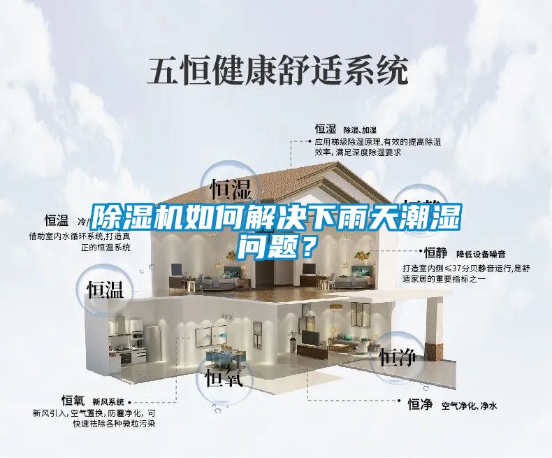 除濕機如何解決下雨天潮濕問題？