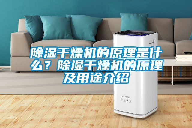 除濕干燥機的原理是什么？除濕干燥機的原理及用途介紹