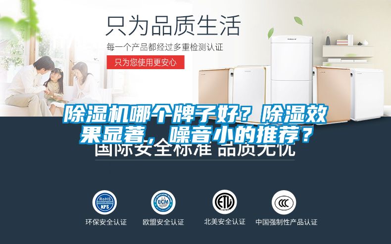 除濕機哪個牌子好？除濕效果顯著，噪音小的推薦？