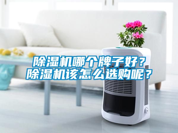除濕機哪個牌子好？除濕機該怎么選購呢？